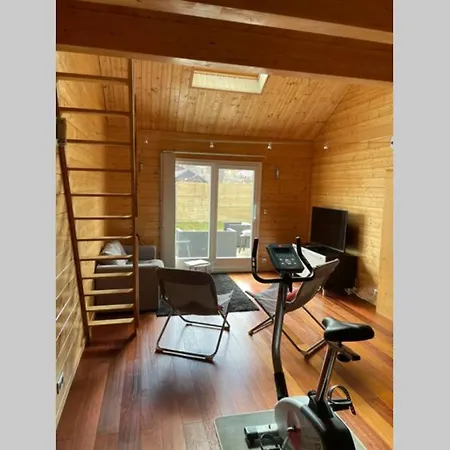 Chalet Oxalys Entre Lacs Et Montagne, 8 Personnes, Jacuzzi Xonrupt-Longemer