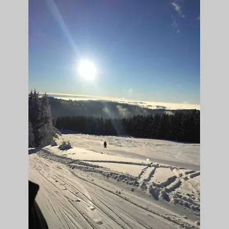 Chalet Oxalys Entre Lacs Et Montagne, 8 Personnes, Jacuzzi Chalet