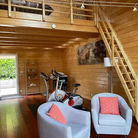 Chalet Oxalys Entre Lacs Et Montagne, 8 Personnes, Jacuzzi * Xonrupt-Longemer